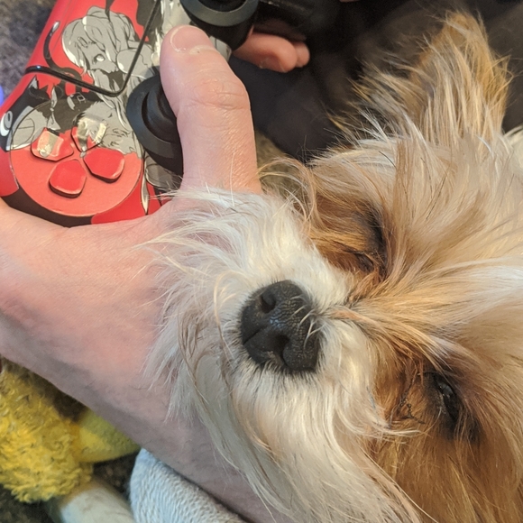 About the Seller - Picture 2 of 2